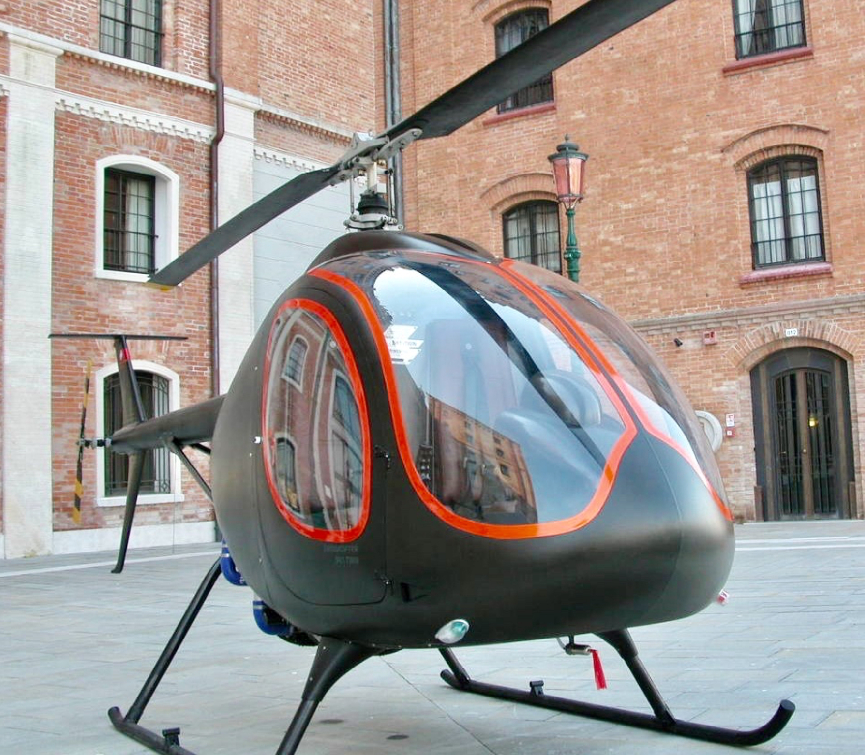 dragon334